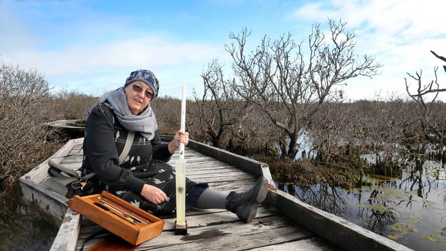 St Kilda resident and independent scientist Peri Coleman of Delta Environmental Consulting testing the water next to the St Kilda Mangroves Boardwalk trail, where the environmental damage to a 7km stretch of mangroves caused by salt leeching into the area, is very obvious. Picture Dean Martin