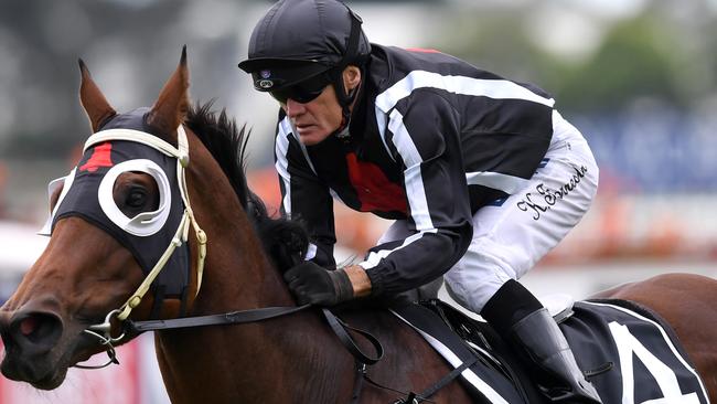 Jockey Kevin Forrester snared a feature-race win with Jungle Edge.