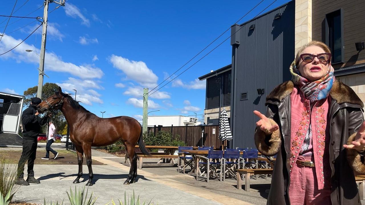 Gai Waterhouse with Storm Boy in the backdrop at the Log Cabin. Picture: Supplies