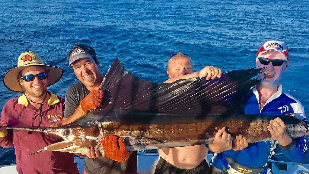 Destination Guide: Townsville Black Marlin Fishing