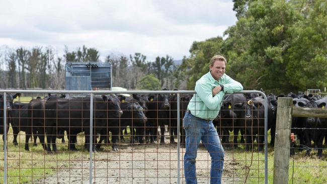 Go for gold:Angus breeder Tim Wilson on one of his three Gippsland farms. Picture: Dannika Bonser