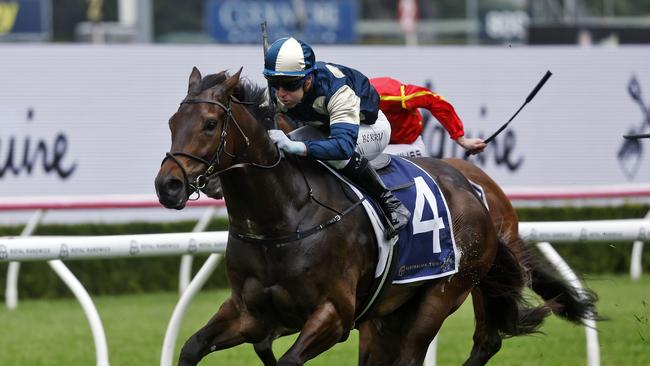 DAILY TELEGRAPH - 5/11/24The Big Dance race day at Randwick Racecourse today.  Tommy Berry rides no.4 GRINGOTTS to victory in The Big Dance. Picture: Sam Ruttyn