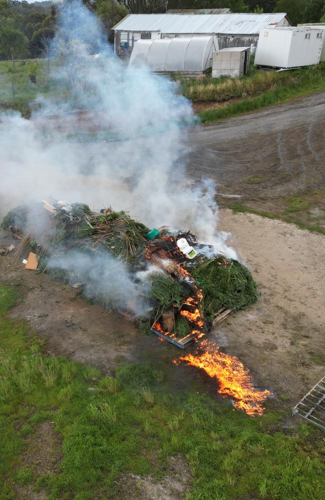 The $26m cannabis production was dismantled in South Gippsland. Picture: Victoria Police