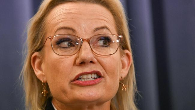 Australia's Leader of the Opposition Sussan Ley speaks at a press conference at Parliament House in Canberra on May 13, 2025. (Photo by Saeed Khan / AFP)