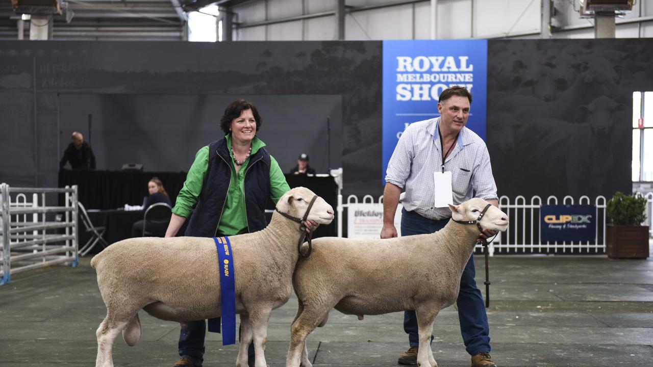 Action from the Royal Melbourne Show, on Sunday, September 22. Photo: Dannika Bonser