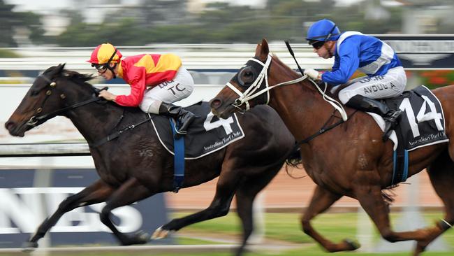 In Times Of War was a good second to the inform Bonny O’Reilly last start.