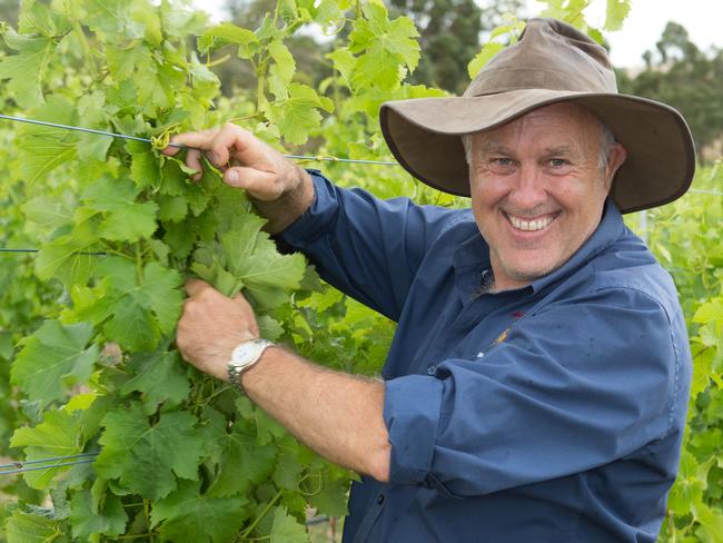 Paul Williams at his Wobbly Boot Vineyard.