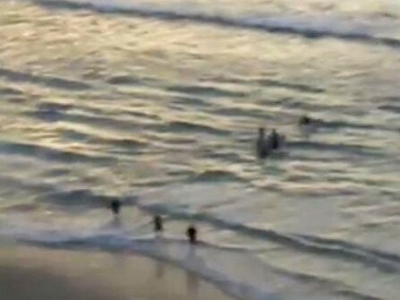 Surfcam captures the chaos as surfers rush ashore with the victim. Picture: Coastalwatch