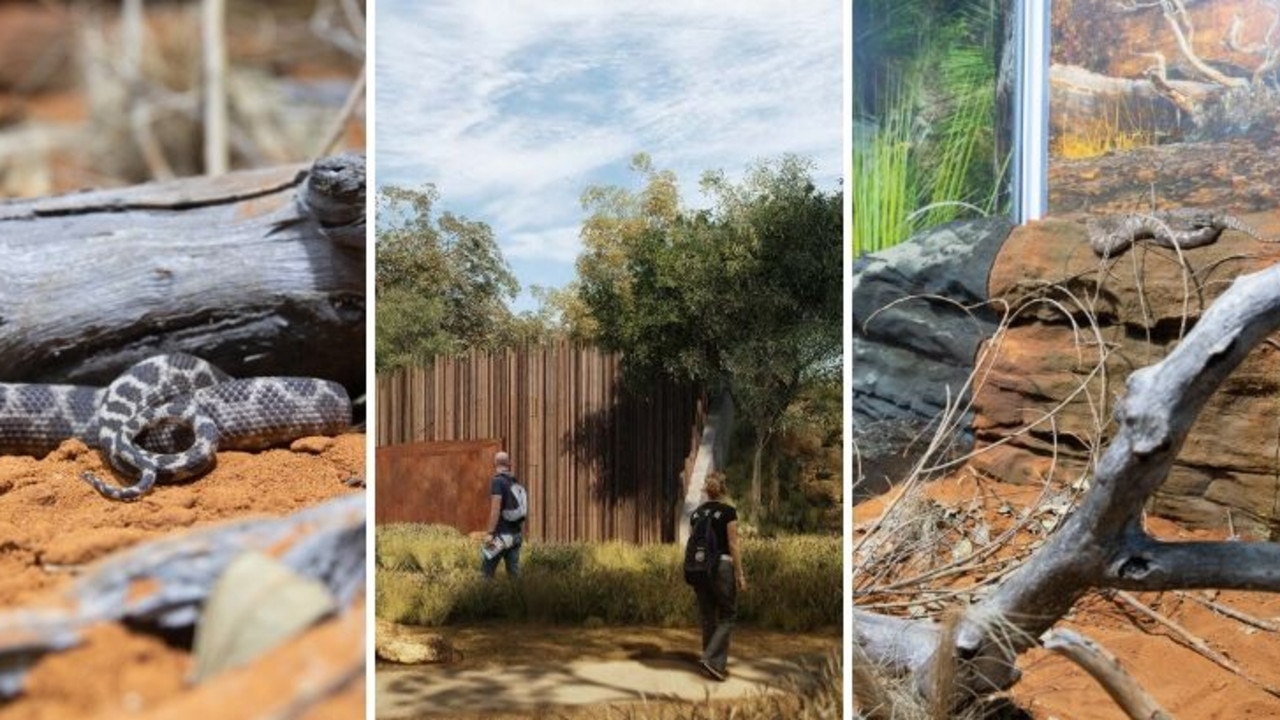 Sydney Zoo Reptile and nocturnal house unveiled Daily Telegraph