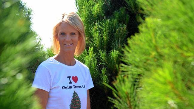 Christmas tree farmer Debbie Bunker with some of the trees almost ready to be cut. Picture: Will Hunter