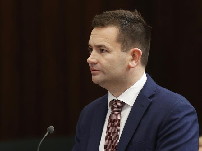 Tasmania’s opposition oeader Dean Winter confirmed Labor’s support in building a stadium in a latter to Andrew Dillon. Picture: Nikki Davis-Jones