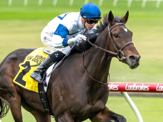 El Patroness ridden by Jye McNeil wins the Surewise VOBIS Gold Heath  at Ladbrokes Park Lakeside Racecourse on April 15, 2023 in Springvale, Australia. (Photo by Jay Town/Racing Photos via Getty Images)