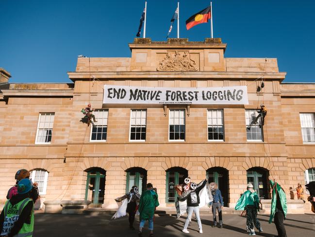 Image supplied by the Bob Brown Foundation showing protest action at Parliament House on Tuesday, March 3, 2025