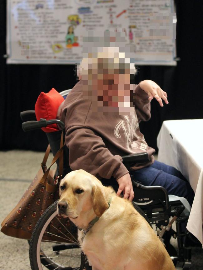 Witness Chloe (pseudonym) and Guide Dogs Tasmania facility dog Ziggy at the Royal Commission into Violence, Abuse, Neglect and Exploitation of People with Disability in Hobart on Monday. Picture: Provided by the Royal Commission.