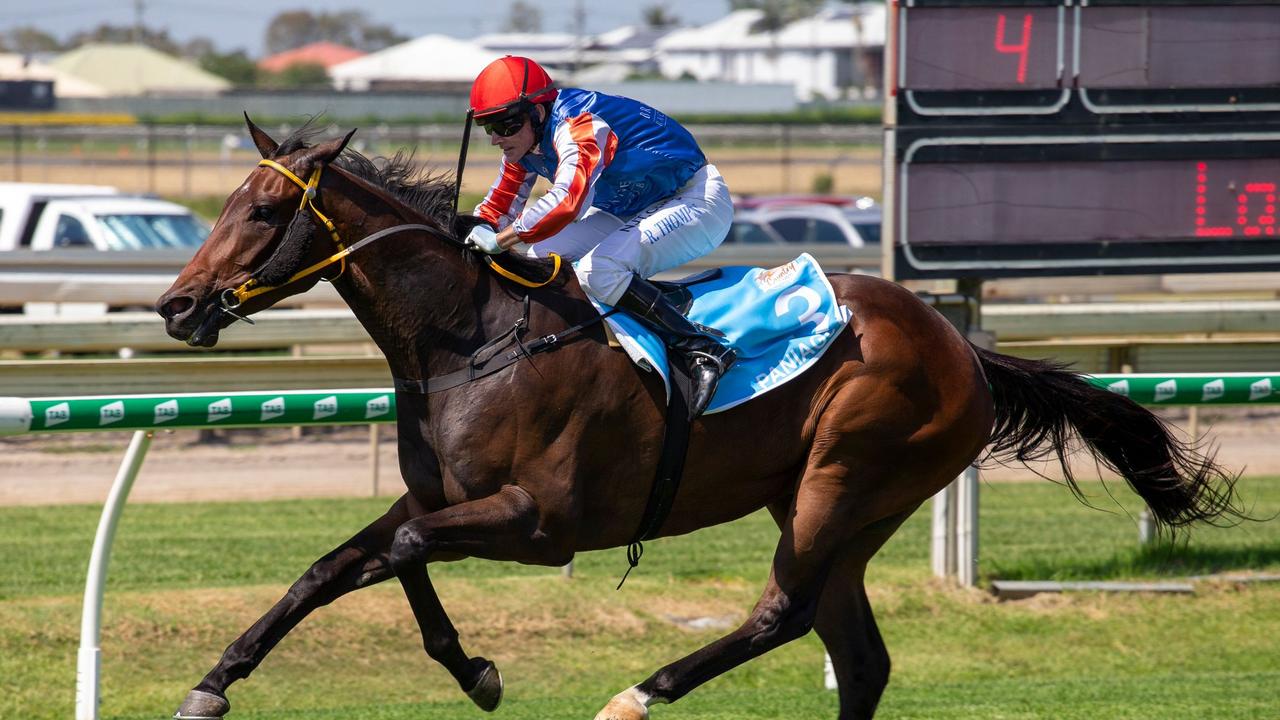 Supplied Editorial Paniagua is the 2020 Country Cup champion for Alex Malliff in Mareeba.