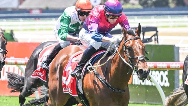 Hot Digity Boom can make an impact when the Mick Price and Michael Kent Jr-trained galloper resumes at Pakenham on Thursday. Picture: Racing Photos via Getty Images.