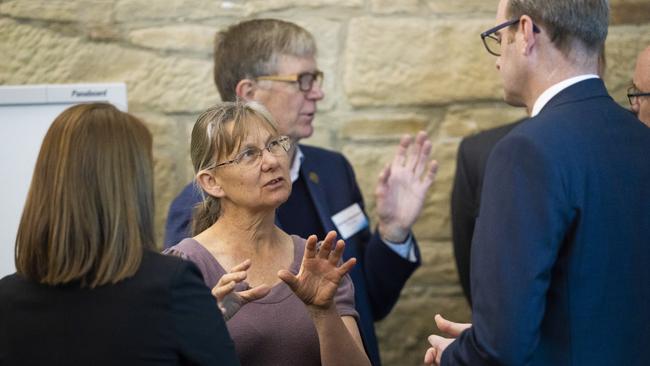 Health Minister Michael Ferguson and Labor health spokeswoman Sarah Lovell talking to Tasmanian Faculty Chair for Australian College for Emergency Medicine Dr Marielle Ruigrok. Picture: RICHARD JUPE