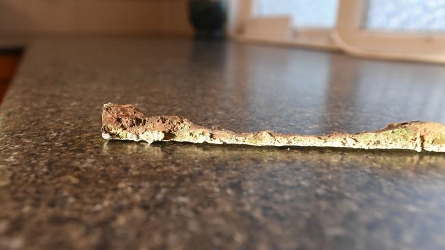 A shard of timber that fell out of the ceiling architrave in an East Lismore home.