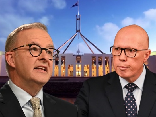 albo v dutton new polling