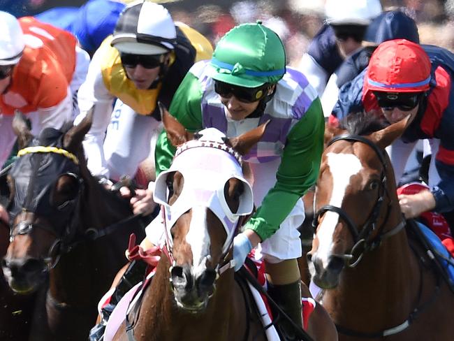 Prince of Penzance ridden by Michelle Payne, (centre), wins the Melbourne Cup race at Flemington Racecourse in Melbourne, on Tuesday, Nov. 3, 2015. (AAP Image/Dan Himbrechts) NO ARCHIVING, EDITORIAL USE ONLY