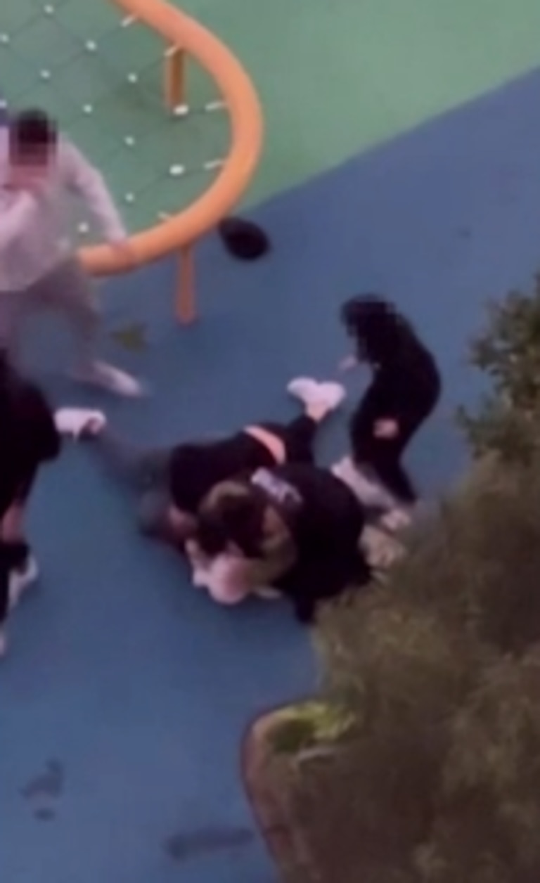 Multiple people appear to hit and kick the woman. Picture: ABC