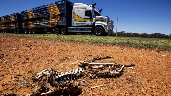 Dry conditions at Eromanga in Western Queensland. Picture: Lachie Millard