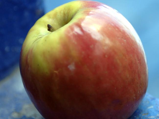 SUPPLEMENTS Taste Of Summer Anna Gare Deluxe Catering Gourmet Picnic Recipes Apple Generic Story Connie Clarke Pic Stewart Allen