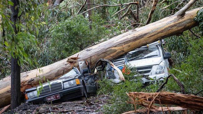 Storm damage in Kalorama in June. Picture: Jason Edwards