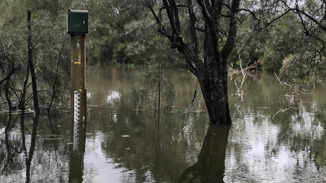 Water overflowed the banks of Manly Lagoon on Friday morning in Riverview Pde, North Manly