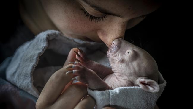 Sweet: Aldana Cantavenera with Maude. Picture: Doug Gimesy