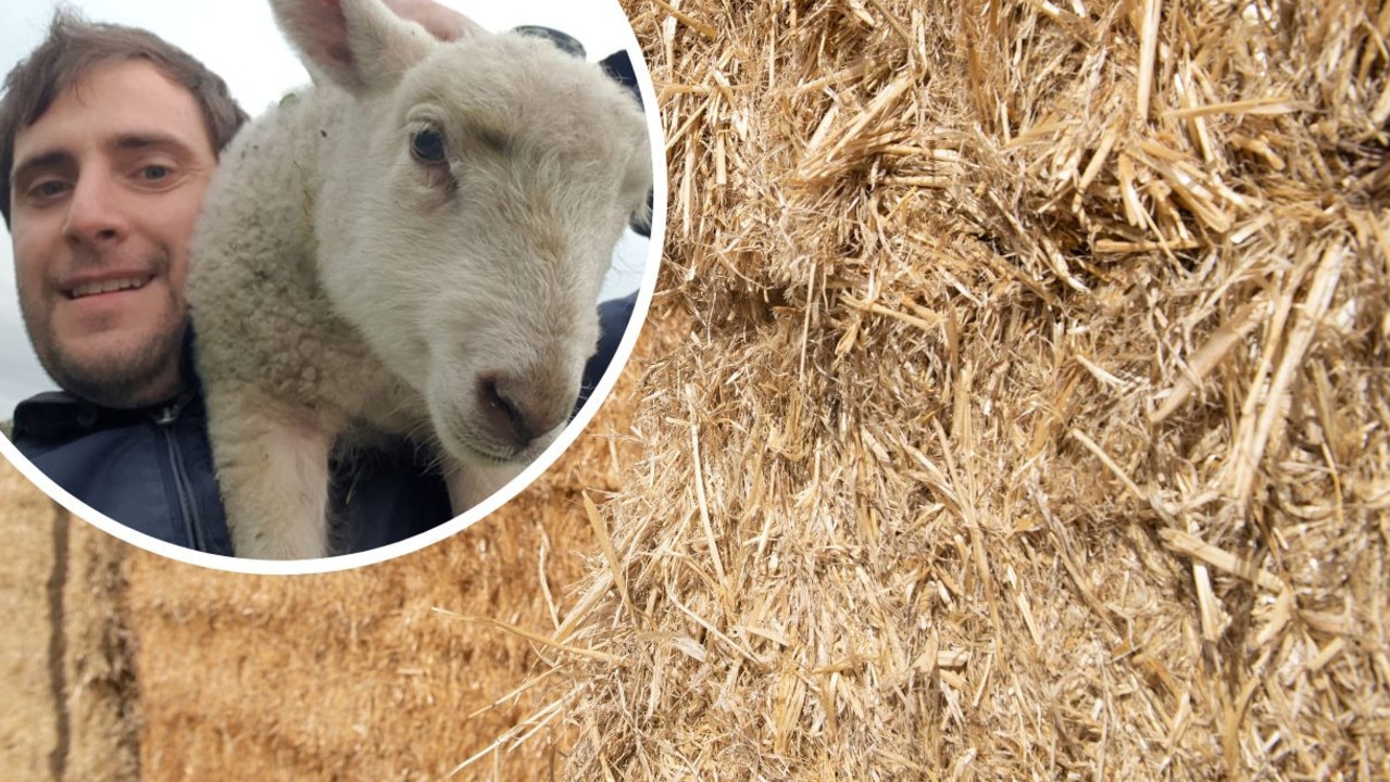 Cruel scam leaves farmer hayless in drought-stricken region