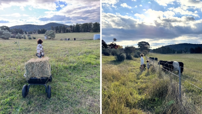 Feeding the cows with the kids never gets old. Image: Supplied