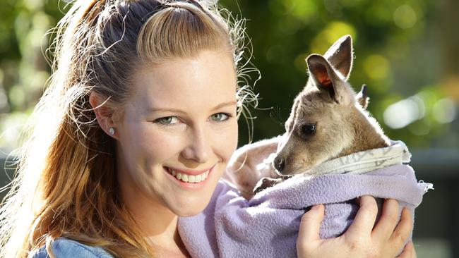 Taronga Zoo staffer Ashley Kelly looks after orphaned baby animals at home. Ashley currently has a little wallaby joey Ziggy. . Please take some nice feature shots of Ashley at home with the joey (and any other pets she has)