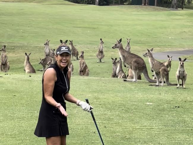 Wendy Powick was playing her local course Arundel Hills Country Club in October when a large group of ‘roos bounded up the fairway and plonked themselves right in front of her, stopping her from teeing off.