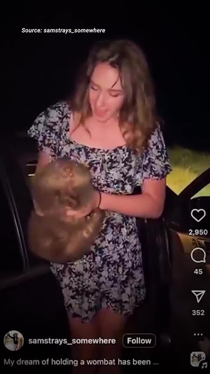 US influencer filmed taking baby wombat from its mother