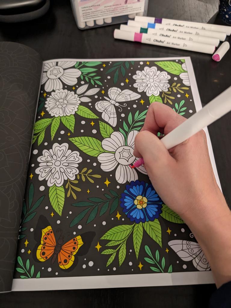 Stress Relief: Adult Coloring Book. Picture: Lauren Chaplin/Supplied