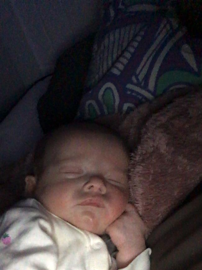 Daisy Pratt. Eight weeks old. Daisy likes to try talk