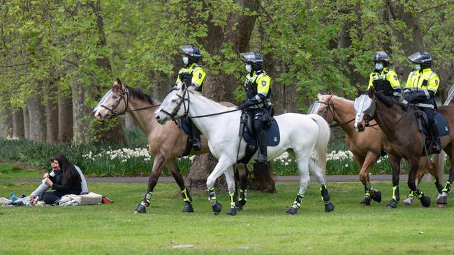 Mounted police patrol Treasury Gardens. Picture: Tony Gough