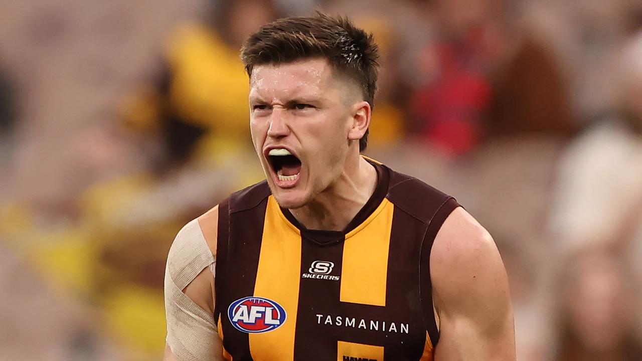 Hawthorn 2024: Mitch Lewis on Gunston return, Jack Ginnivan, Henry Hustwaite, Nick Watson | Herald Sun