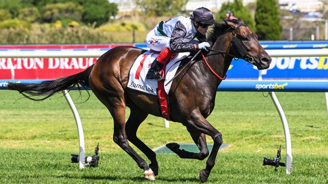 Mr Brightside will run in the Makybe Diva Stakes at Flemington on Saturday. Photo: Reg Ryan/Getty Images.