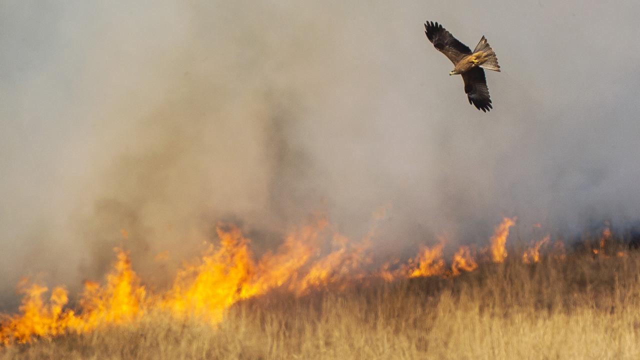 Firefighters brace for the worst as fires continue to burn in the Canungra and Sarabah regions. Picture: NIGEL HALLETT