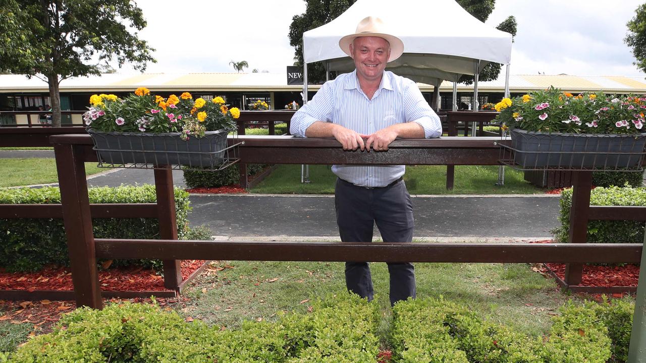 Magic Millions 2024 Yearling Sale Top lots to watch The Chronicle