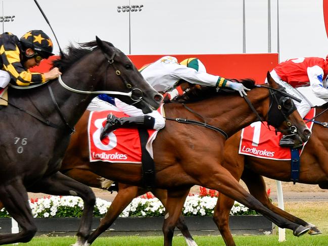 D'oro Star (Anthony Darmanin) winning the 3YO Classic (1200m) on Launceston Cup day this year. Photo: Clare Pettit