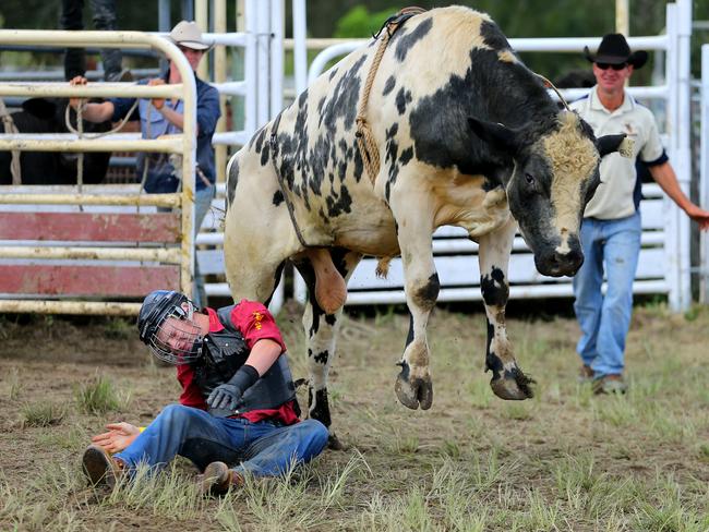 Jed McKinnon takes a fall / Picture: Nathan Edwards