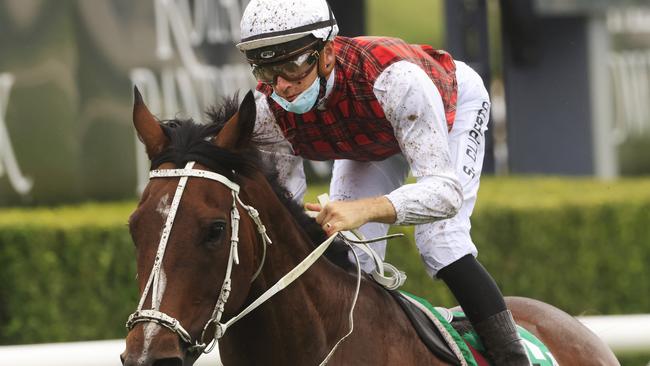 Order Again just might get used to this winning feeling. Picture: Getty Images