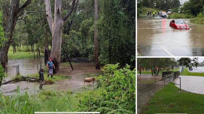 Sheep go missing on Cambogan Rd, Waterford. A Mercedes-Benz gets swamped; and Dauth Park at Beenleigh.