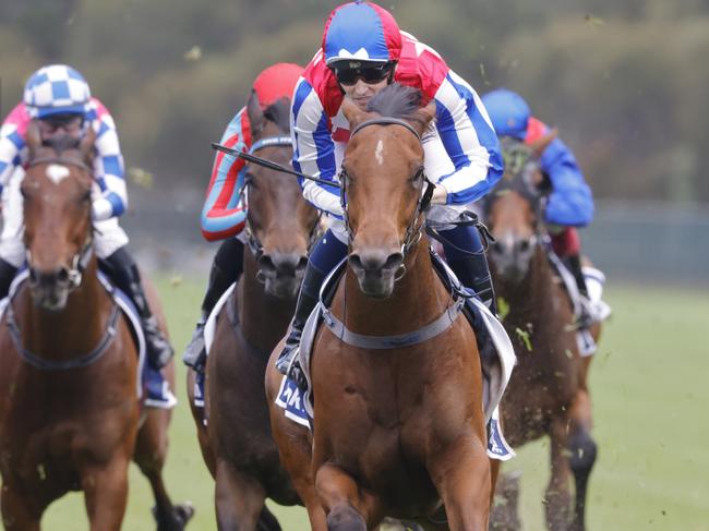 SYDNEY, AUSTRALIA - NOVEMBER 05: Tom Sherry on Fox Fighter wins race 5 the Furphy Handicap  during Sydney Racing at Rosehill Gardens on November 05, 2022 in Sydney, Australia. (Photo by Jenny Evans/Getty Images)