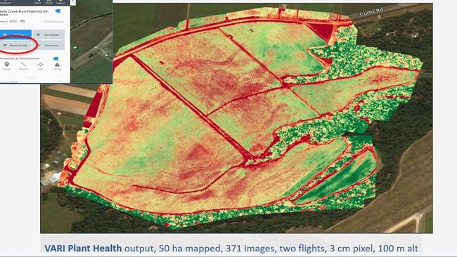 The VARI Plant Health output that visually shows farmers variability in crop health. Picture: Department of Agriculture and Fisheries.