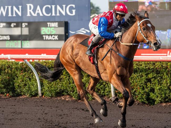 Lotion pictured before winning the 2021 Buntine Handicap for Angela Forster. Picture: Caroline Camilleri