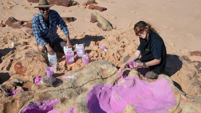 This undated handout from the University of Queensland released on March 27, 2017 shows Dr Anthony Romilio and Linda Pollard from the university creating a silicon cast of sauropod tracks in the Lower Cretaceous Broome Sandstone in the Walmadany area of Dampier Peninsula, Western Australia. An "unprecedented" 21 different types of dinosaur tracks have been found on a stretch of Australia's remote coastline, scientists said on March 27, 2017, referring to it as the nation's Jurassic Park. / AFP PHOTO / UNIVERSITY OF QUEENSLAND / Steven W. SALISBURY / RESTRICTED TO EDITORIAL USE - MANDATORY CREDIT "AFP PHOTO /UNIVERSITY OF QUEENSLAND/STEVEN W. SALISBURY" - NO MARKETING NO ADVERTISING CAMPAIGNS - DISTRIBUTED AS A SERVICE TO CLIENTS - NO ARCHIVE TO GO WITH AFP story Australia-science dinosaur-history